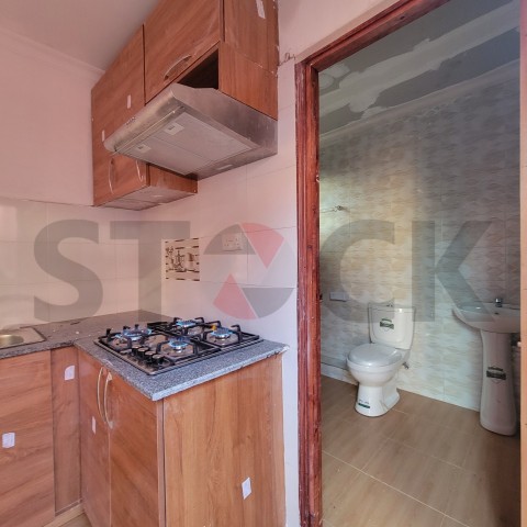 Kitchen with Hood and Modern cabinets